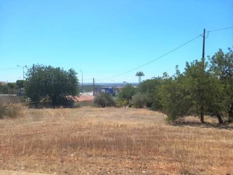 Terreno Rústico  Arrendamento em Loulé (São Clemente),Loulé