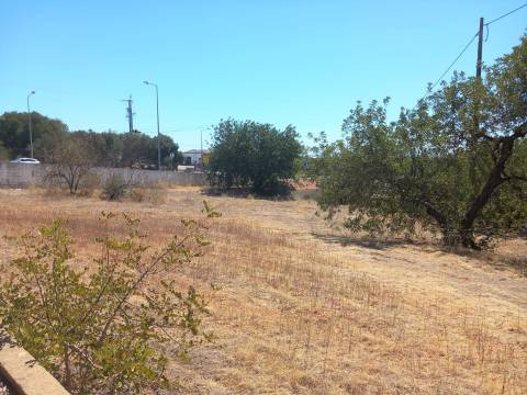 Terreno Rústico  Arrendamento em Loulé (São Clemente),Loulé
