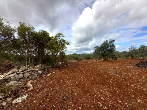 Terreno Rústico  Venda em Santa Bárbara de Nexe,Faro