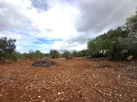 Terreno Rústico  Venda em Santa Bárbara de Nexe,Faro