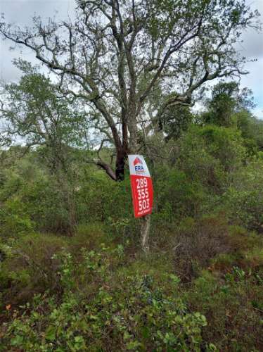 Terreno Rústico  Venda em Santa Bárbara de Nexe,Faro