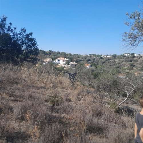 Terreno Rústico  Venda em Loulé (São Clemente),Loulé