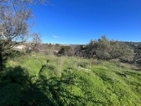 Terreno Rústico  Venda em Loulé (São Clemente),Loulé