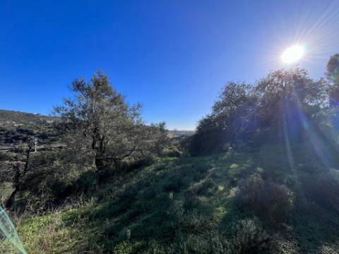 Terreno Rústico  Venda em Loulé (São Clemente),Loulé