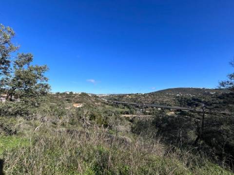 Terreno Rústico  Venda em Loulé (São Clemente),Loulé