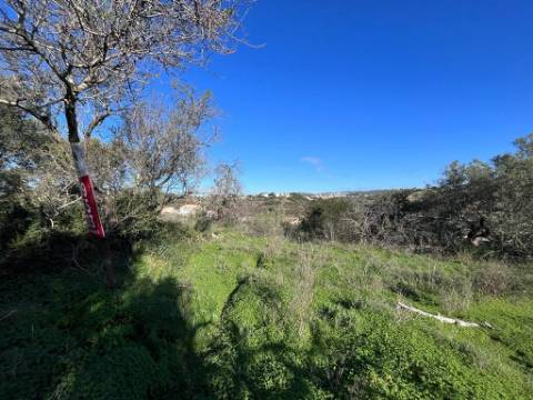 Terreno Rústico  Venda em Loulé (São Clemente),Loulé