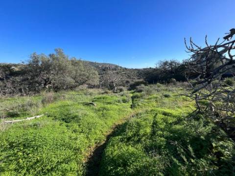 Terreno Rústico  Venda em Loulé (São Clemente),Loulé