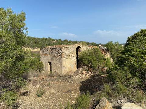Moradia Rústica  Venda em Santa Bárbara de Nexe,Faro