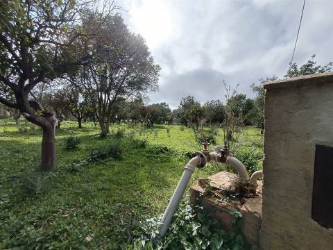 Moradia Isolada T3 Venda em Santa Bárbara de Nexe,Faro