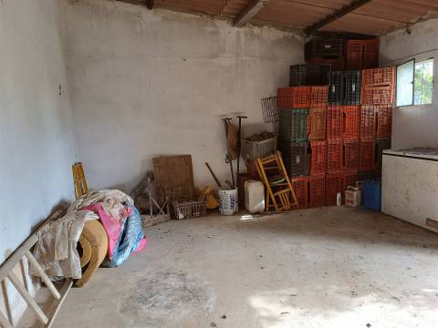 Moradia Isolada T3 Venda em Santa Bárbara de Nexe,Faro