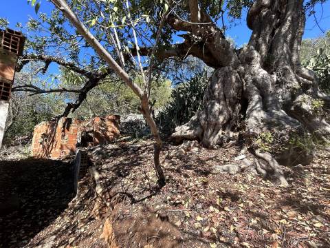 Moradia para Restaurar T2 Venda em Salir,Loulé