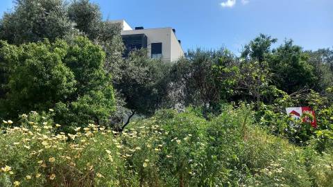 Terreno Para Construção  Venda em Almancil,Loulé