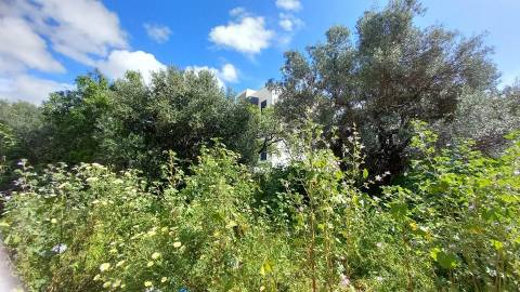Terreno Para Construção  Venda em Almancil,Loulé