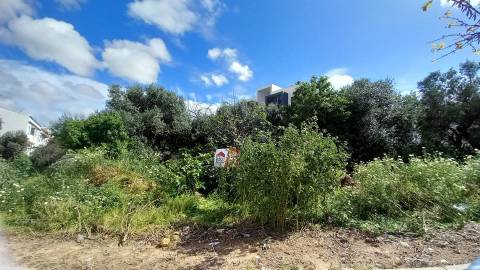 Terreno Para Construção  Venda em Almancil,Loulé
