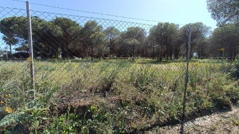 Terreno Rústico  Venda em Almancil,Loulé