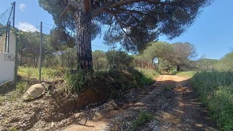 Terreno Rústico  Venda em Almancil,Loulé