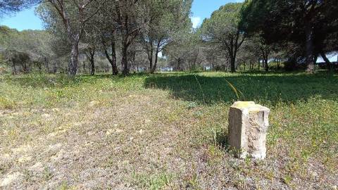 Terreno Rústico  Venda em Almancil,Loulé