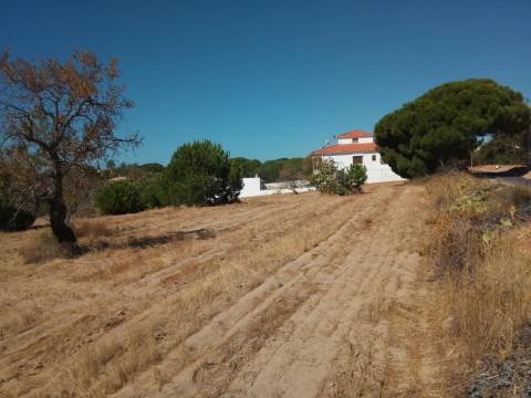 Terreno Rústico  Venda em Almancil,Loulé