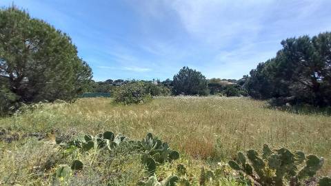 Terreno Rústico  Venda em Almancil,Loulé