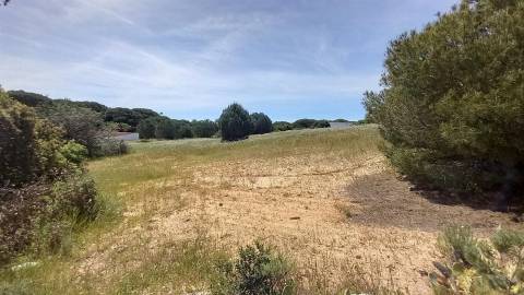Terreno Rústico  Venda em Almancil,Loulé