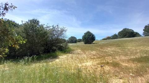 Terreno Rústico  Venda em Almancil,Loulé
