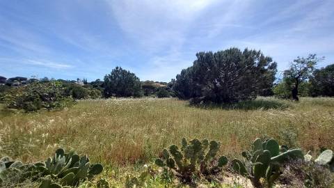 Terreno Rústico  Venda em Almancil,Loulé
