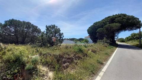 Terreno Rústico  Venda em Almancil,Loulé