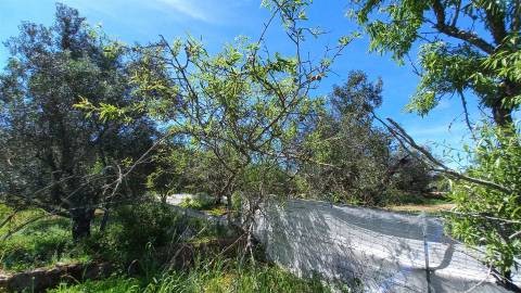 Moradia Geminada T4 Venda em Loulé (São Clemente),Loulé