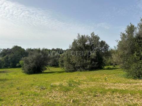 Terreno Rústico  Venda em Almancil,Loulé