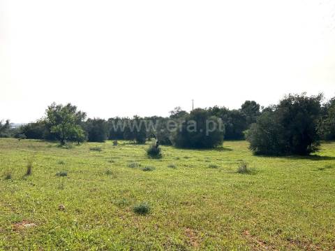 Terreno Rústico  Venda em Almancil,Loulé