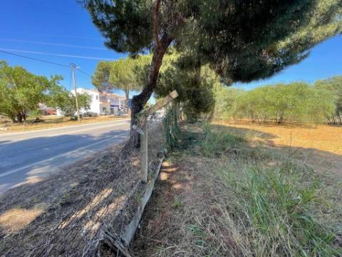 Terreno Rústico  Venda em Quarteira,Loulé