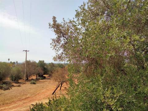 Terreno Urbano  Venda em Loulé (São Sebastião),Loulé