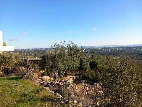 Terreno Rústico  Venda em Santa Bárbara de Nexe,Faro