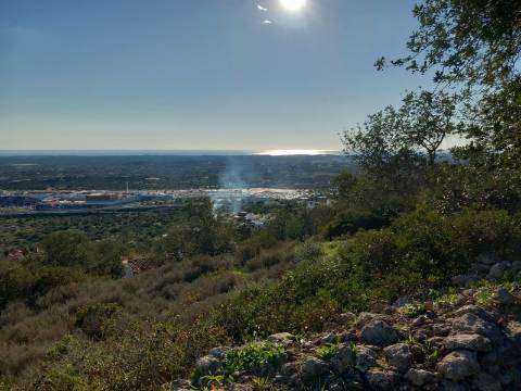 Terreno Rústico  Venda em Santa Bárbara de Nexe,Faro