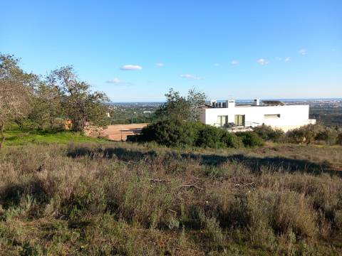 Terreno Rústico  Venda em Santa Bárbara de Nexe,Faro