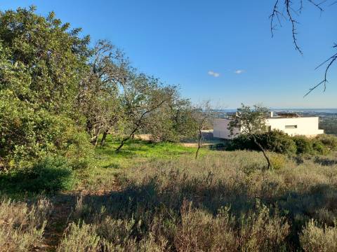 Terreno Rústico  Venda em Santa Bárbara de Nexe,Faro