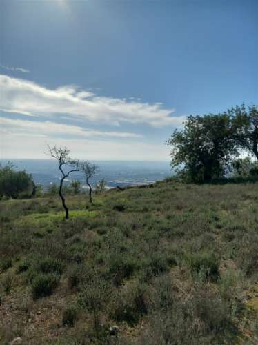 Terreno Rústico  Venda em Santa Bárbara de Nexe,Faro