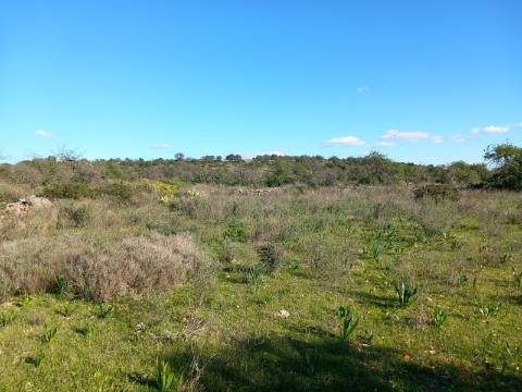 Terreno Rústico  Venda em Santa Bárbara de Nexe,Faro