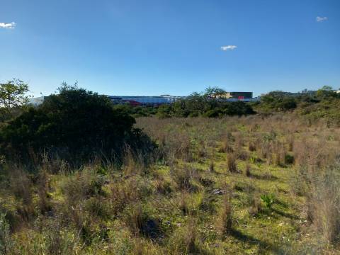 Terreno Rústico  Venda em Santa Bárbara de Nexe,Faro
