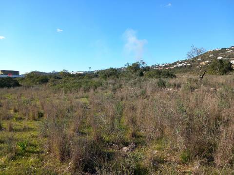 Terreno Rústico  Venda em Santa Bárbara de Nexe,Faro