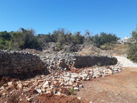 Moradia Rústica  Venda em Santa Bárbara de Nexe,Faro