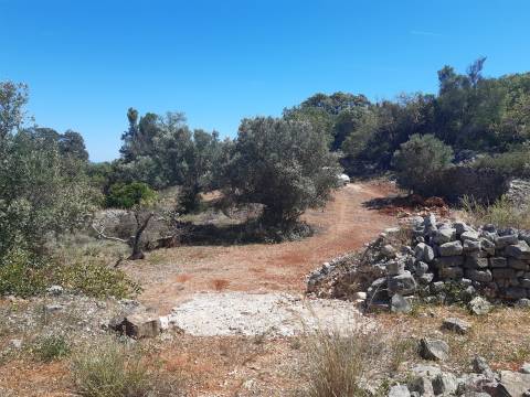 Moradia Rústica  Venda em Santa Bárbara de Nexe,Faro
