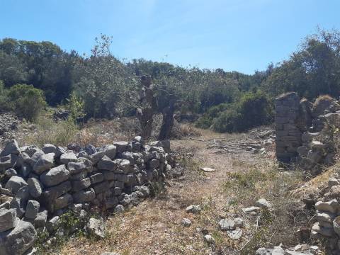 Moradia Rústica  Venda em Santa Bárbara de Nexe,Faro