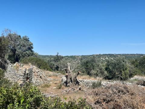 Moradia Rústica  Venda em Santa Bárbara de Nexe,Faro