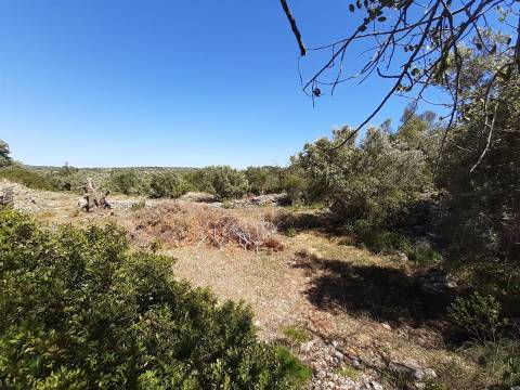 Moradia Rústica  Venda em Santa Bárbara de Nexe,Faro