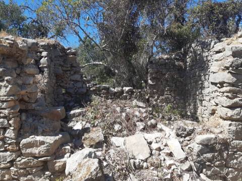Moradia Rústica  Venda em Santa Bárbara de Nexe,Faro