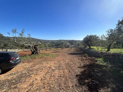 Moradia Rústica  Venda em Santa Bárbara de Nexe,Faro