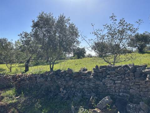 Moradia Rústica  Venda em Santa Bárbara de Nexe,Faro