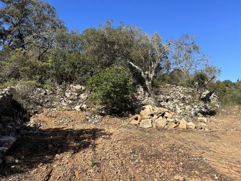 Moradia Rústica  Venda em Santa Bárbara de Nexe,Faro