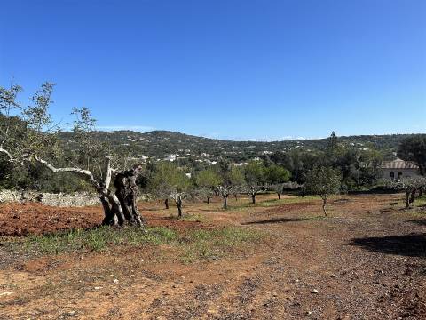 Moradia Rústica  Venda em Santa Bárbara de Nexe,Faro